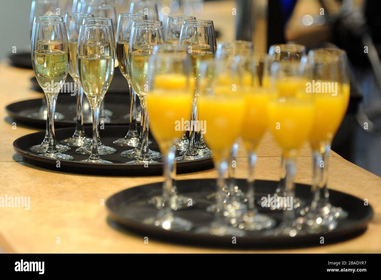 Champagne e succo d'arancia in offerta nella tenda ospitalita' Blue Square Bet alle gare di Lingfield. Foto Stock