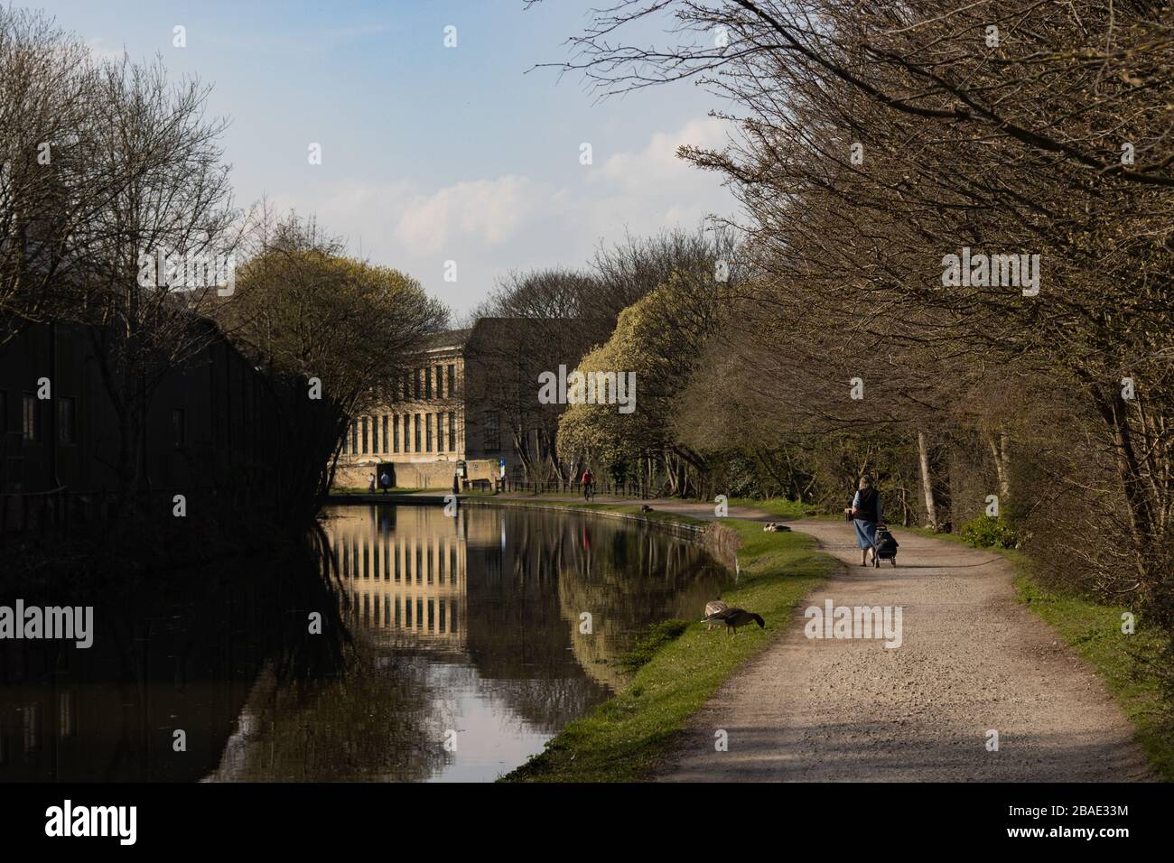 SALTAIRE, INGHILTERRA - 25/3/2020 - una solitaria signora anziana cammina lungo il canale da Shipley verso New Mill visto all'orizzonte con una borsa per lo shopping Foto Stock