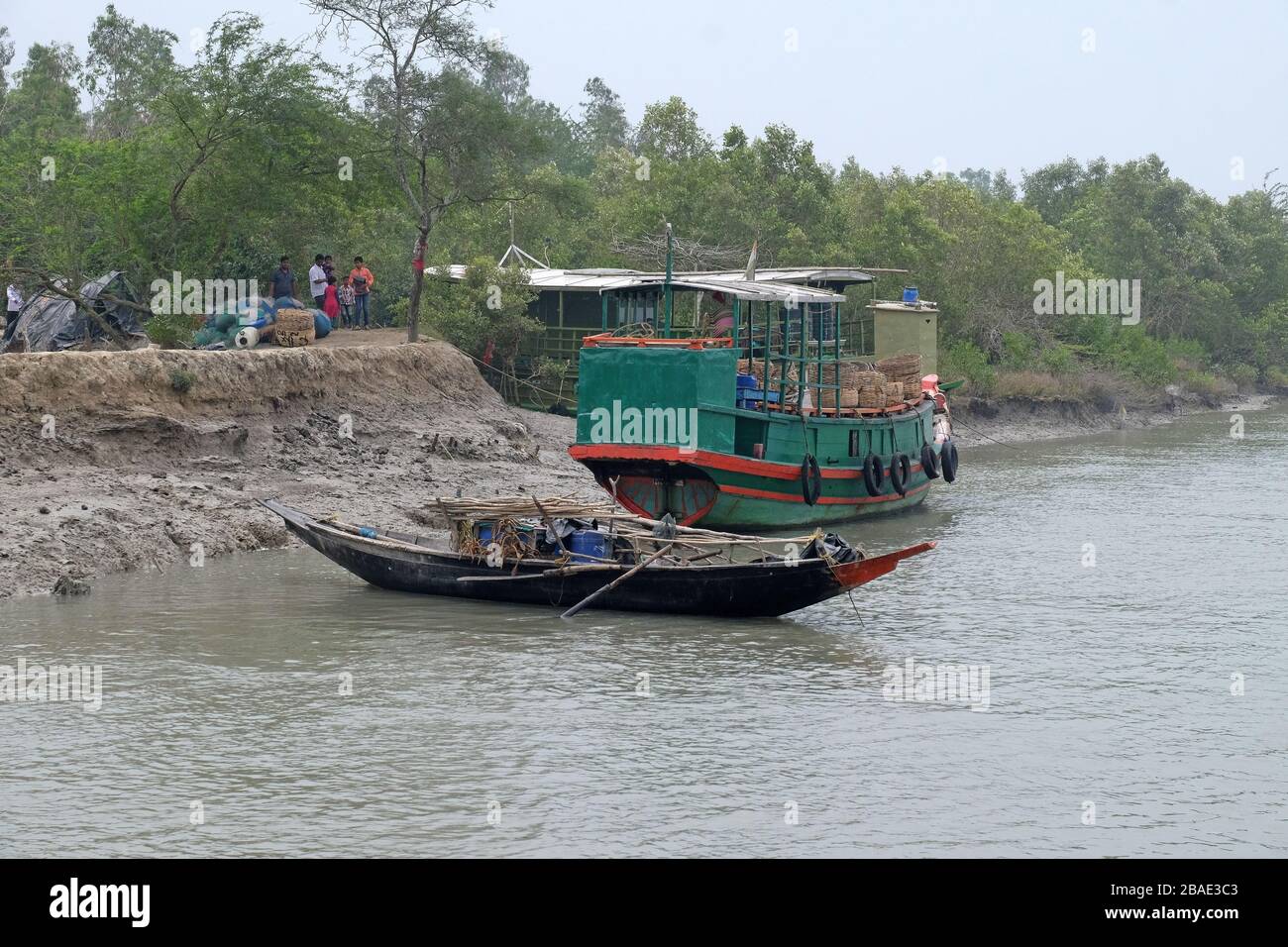 Barca a remi nelle zone paludose dei Sundarbans, Patrimonio dell'Umanità dell'UNESCO, India Foto Stock