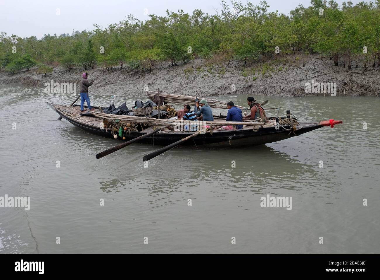 Barca a remi nelle zone paludose dei Sundarbans, Patrimonio dell'Umanità dell'UNESCO, India Foto Stock