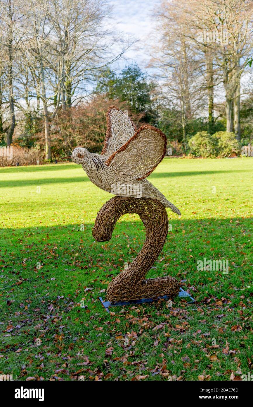 Una scultura willow invernale 'TwoTurtle Doves' nei terreni di Stourhead House come parte delle loro attrazioni natalizie, Wiltshire, Inghilterra, Regno Unito Foto Stock