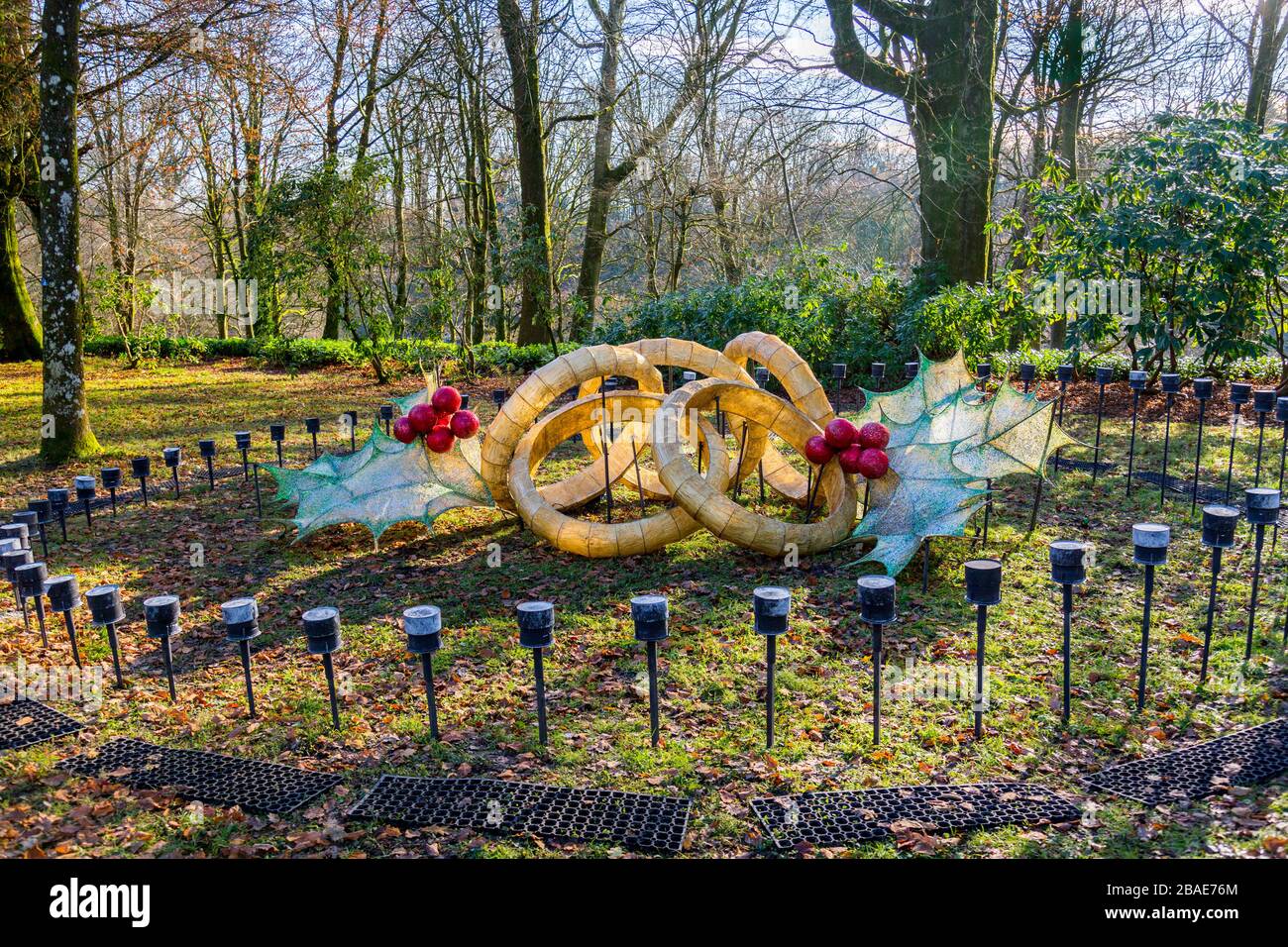 Un'opera d'arte invernale 'Five Gold Rings' nei terreni della Stourhead House come parte delle loro attrazioni natalizie, Wiltshire, Inghilterra, Regno Unito Foto Stock