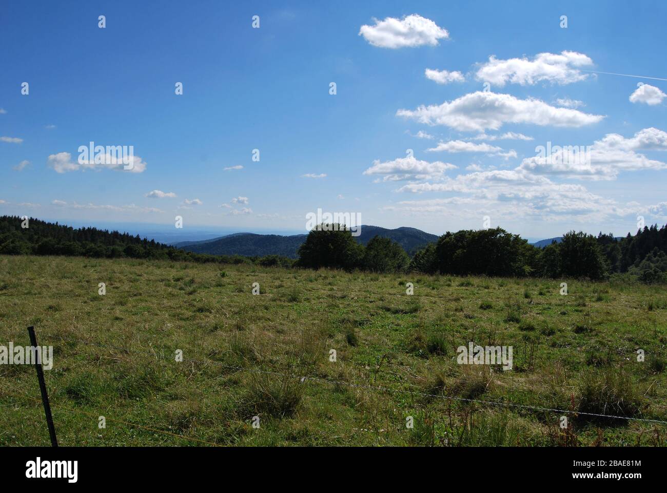 Vista panoramica dal Ballon d’Alsace, Grand Balloon, una cima / picco sulle montagne Vosges, Alto Reno in Francia Foto Stock