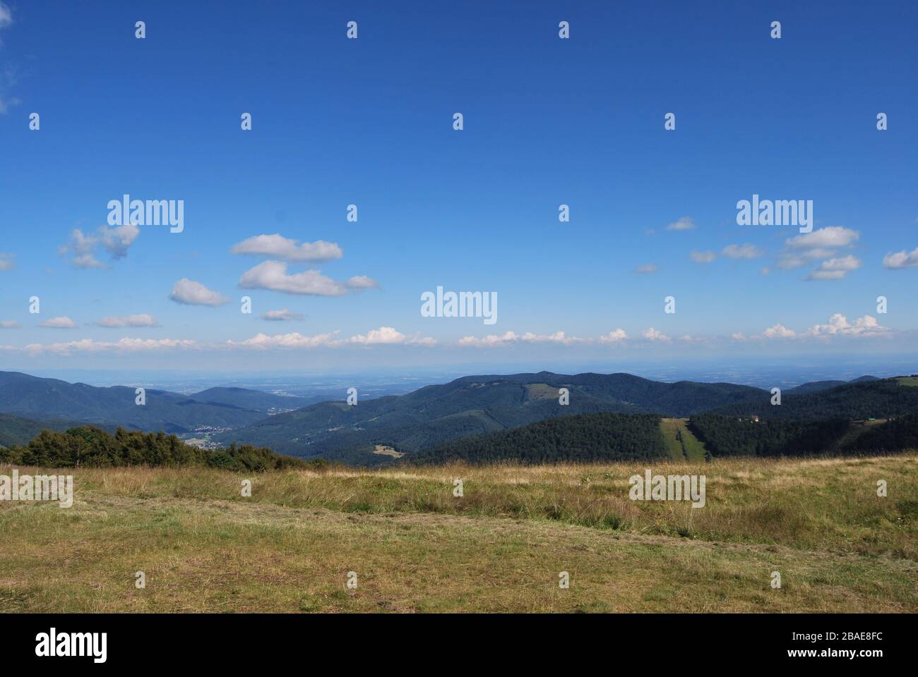 Vista panoramica dal Ballon d’Alsace, Grand Balloon, una cima / picco sulle montagne Vosges, Alto Reno in Francia Foto Stock