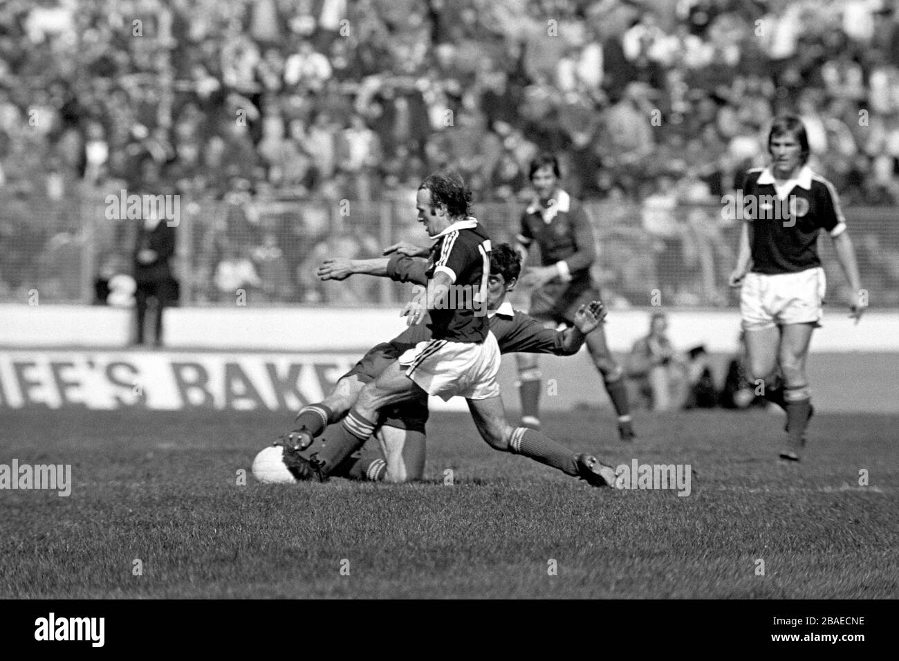 Archie Gemmill di Scozia affronta Bryan Hamilton (Falling) dell'Irlanda del Nord Foto Stock