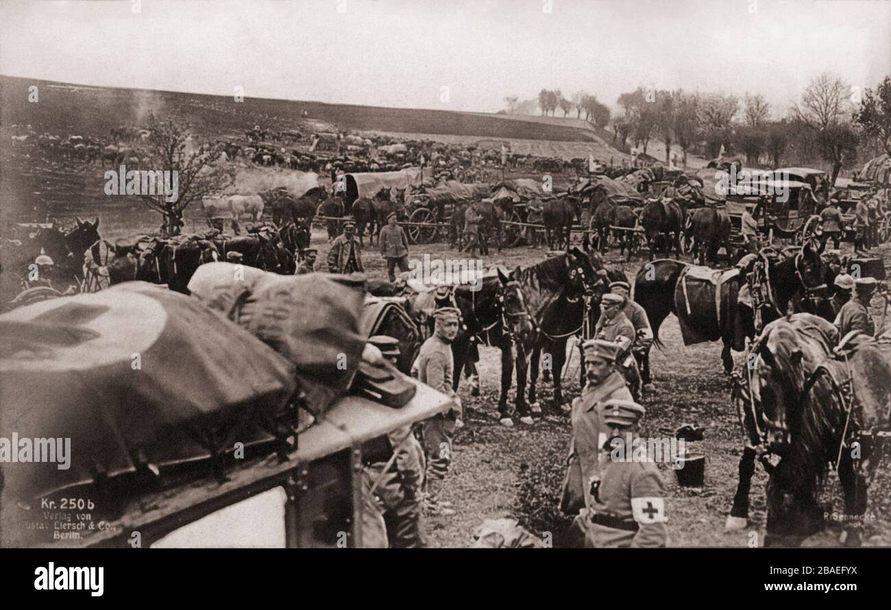 Il primo periodo della guerra mondiale. Campo tedesco vicino a Neu-Sandec dopo la svolta in Galizia. Foto Stock