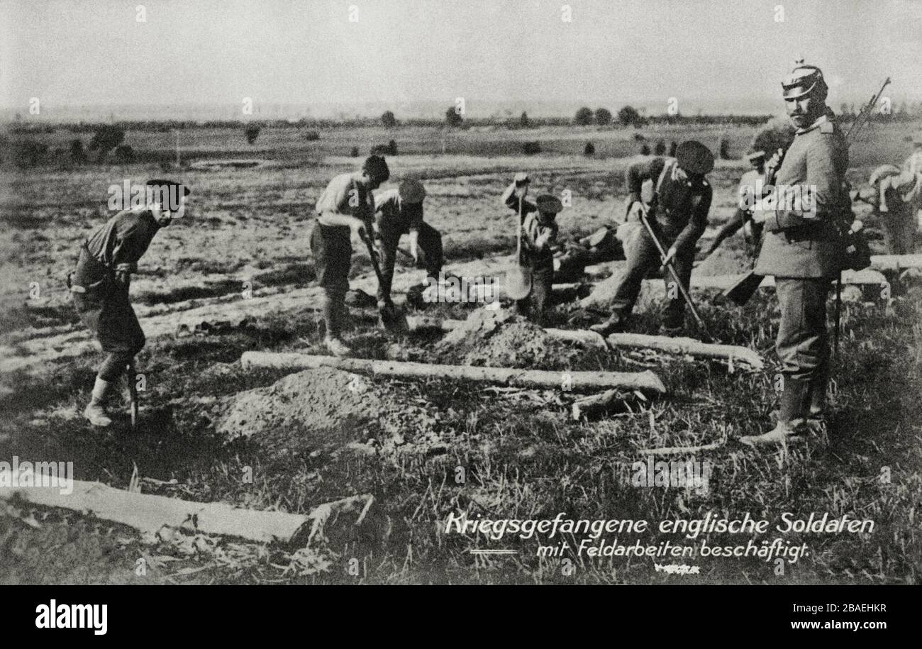 Vecchia immagine del primo periodo della guerra mondiale. Prigionieri di guerra soldati inglesi impegnati nel lavoro sul campo. Foto Stock