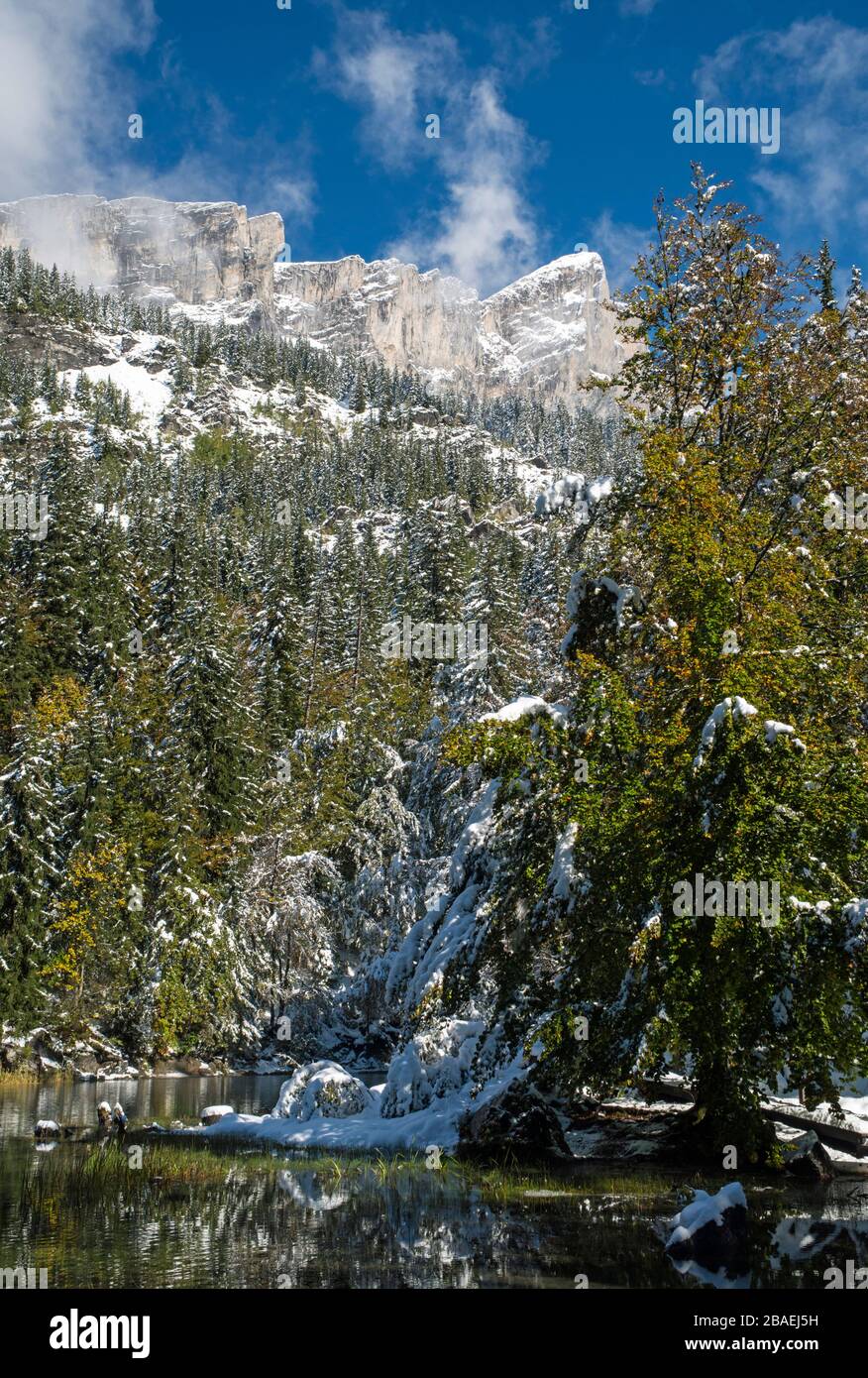 Le montagne della Chaine des Fiz dietro Lac Vert nelle Alpi francesi. Montagne innevate, alti alberi sempreverdi e un cielo azzurro limpido una giornata di sole. Foto Stock