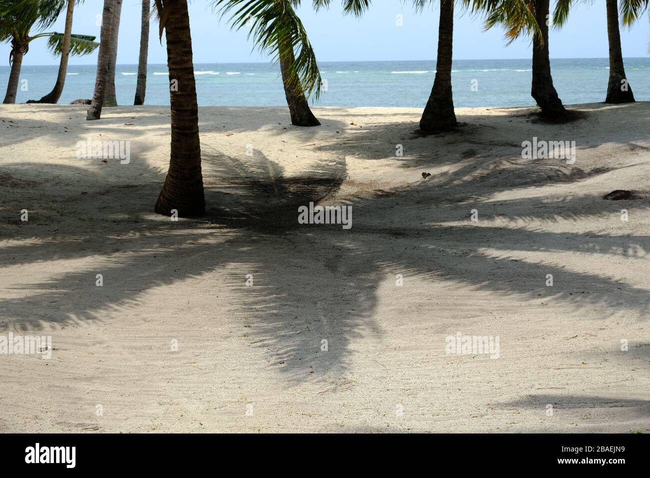 Benan Island Indonesia - ombra di palme sulla spiaggia Foto Stock