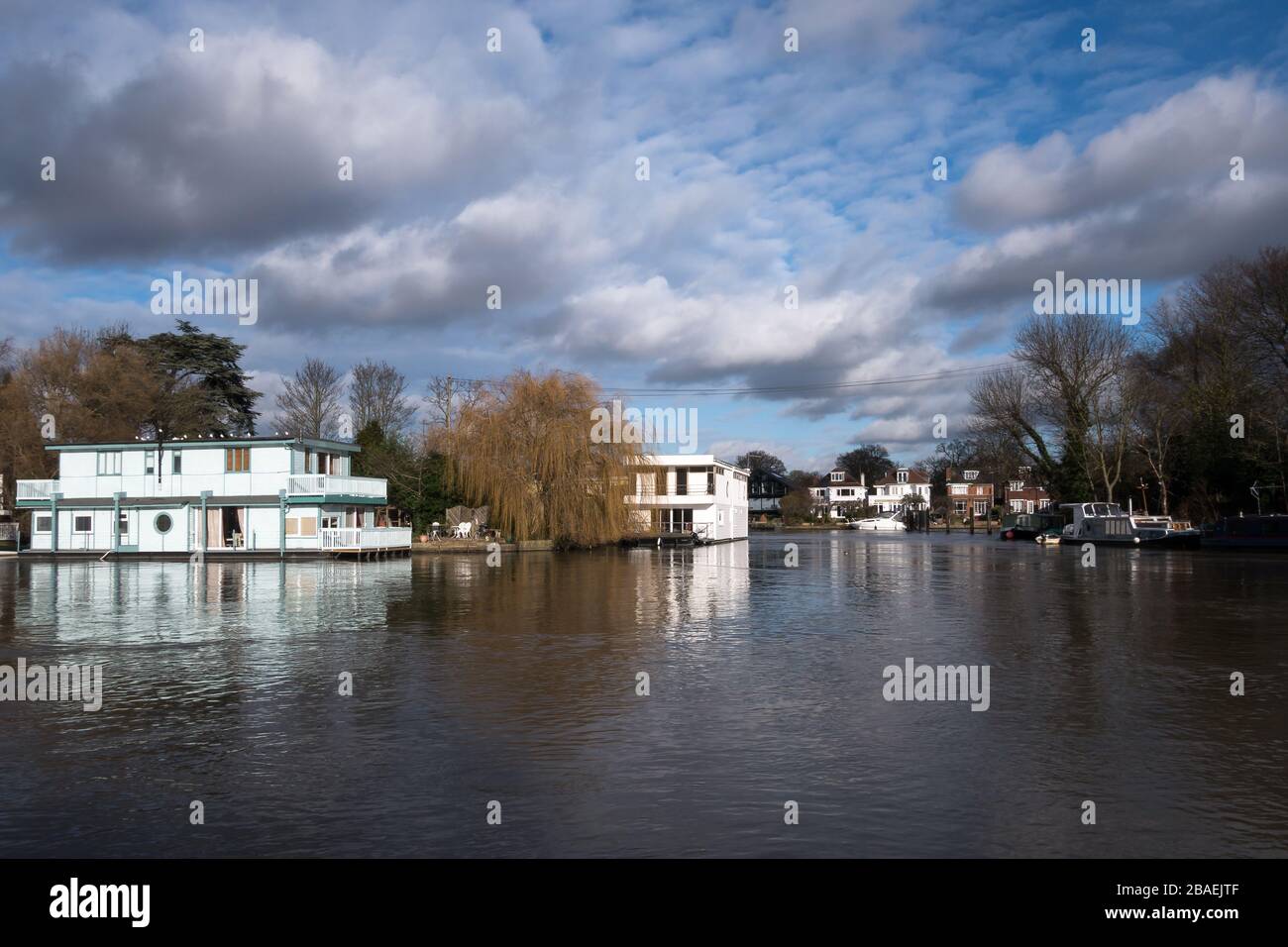 Case galleggianti ormeggiate lungo la riva del Tamigi vicino a Molesey e Hampton Court nel Regno Unito Foto Stock