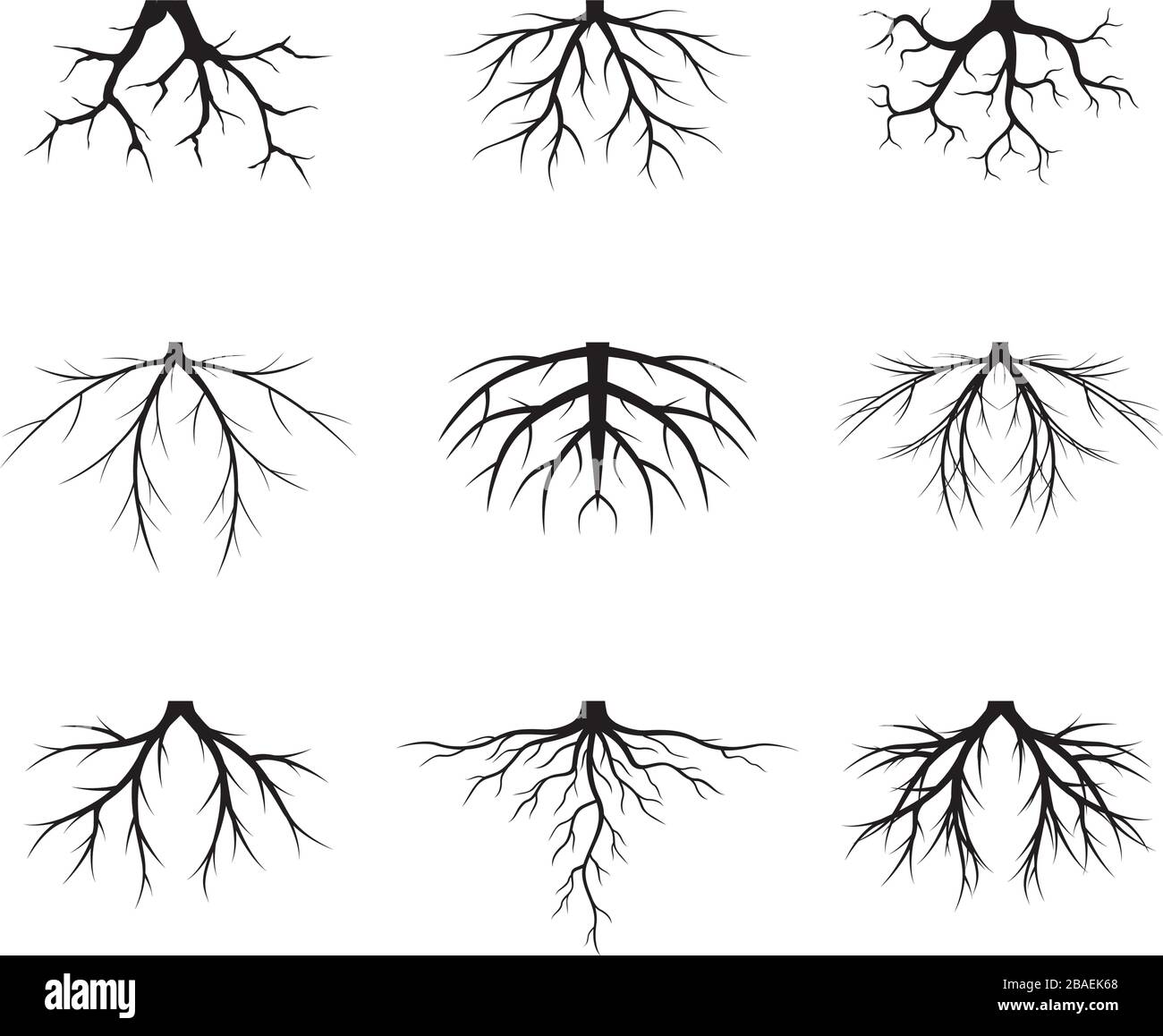 Set di radici di alberi neri. Illustrazione vettoriale. Raccolta di icone. Illustrazione Vettoriale