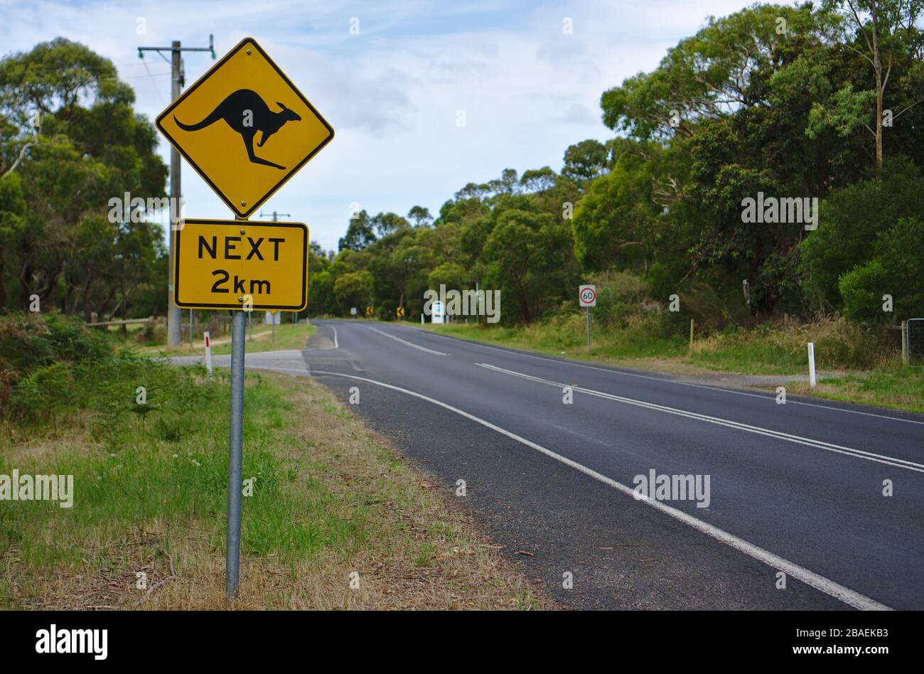 Primo piano vista di Kangaroo prossimo 2 km di cartello sulla strada in Australia Foto Stock