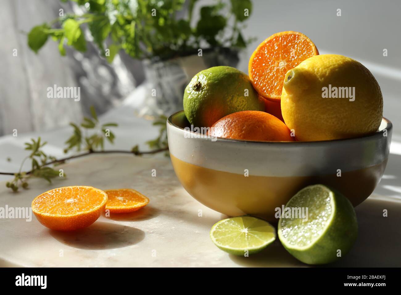 Ancora vita con frutta e menta arancione su piano in marmo bianco e tela. Foto Stock