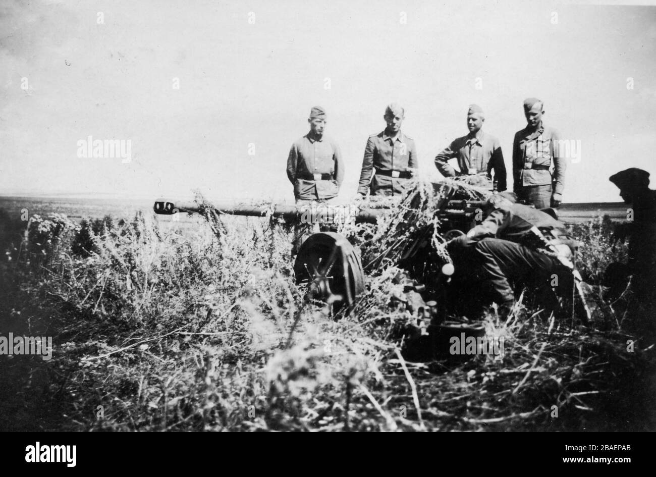 Seconda guerra mondiale / seconda guerra mondiale Foto storica dell'invasione tedesca - truppe Waffen SS in URSS (Bielorussia) - 1942 Borisow (regione di Barysaw Minsk) - artiglieria Foto Stock