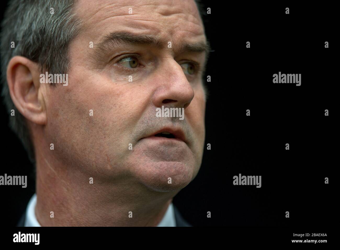 Steve Clarke, direttore di West Bromwich Albion Foto Stock
