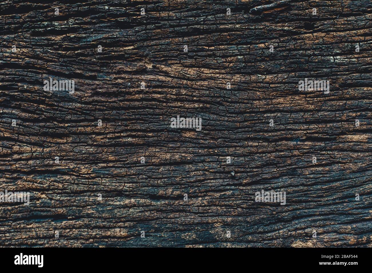 legno vecchio, vera natura alto dettaglio di legno scuro pannello texture motivo per sfondo Foto Stock