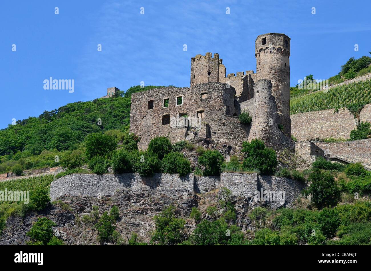 Germania, Renania-Palatinato, Valle del Reno Patrimonio dell'Umanità dell'UNESCO, rovina Ehrenfels Foto Stock