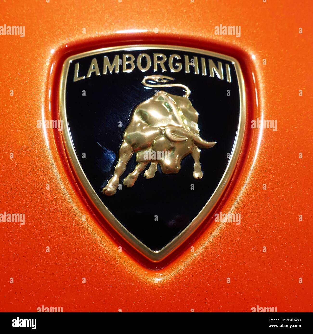 Simbolo del toro lamborghini immagini e fotografie stock ad alta  risoluzione - Alamy