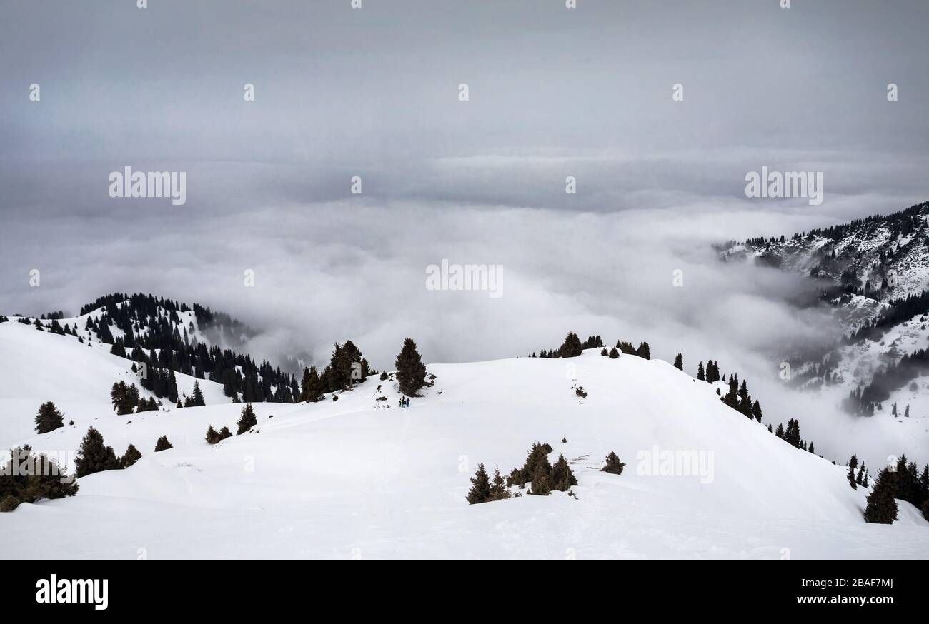 Paesaggio montano invernale della foresta di pini e nuvole temporalesche Foto Stock