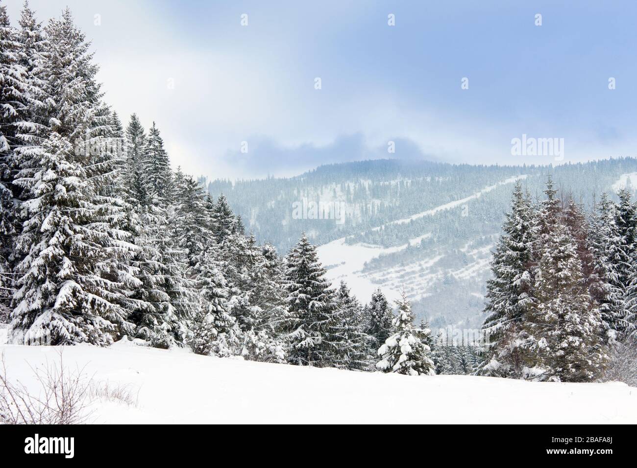 inverno in montagna foresta Foto Stock