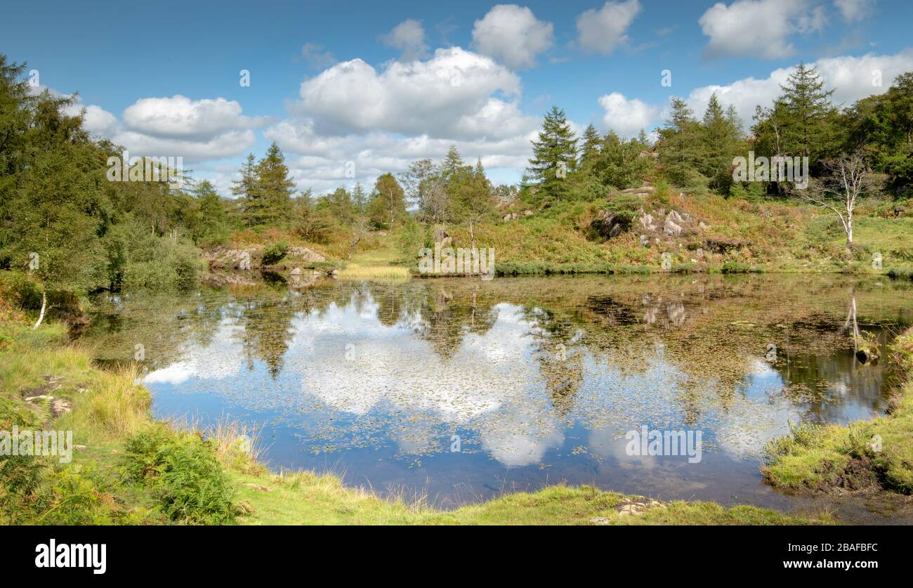 Placid vista di un piccolo lakeland tarn con cielo speculare che riflette il cielo in un giorno d'estate Foto Stock