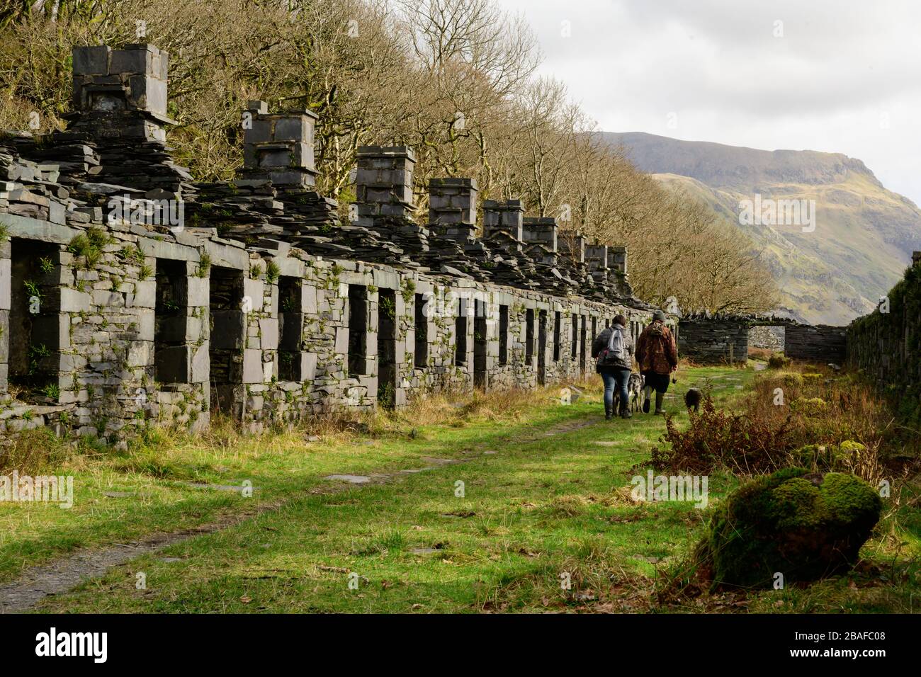 Anglesey Barracks - una fila di cottage per minatori a Dinorwig nel Galles del Nord con due camminatori per cani Foto Stock