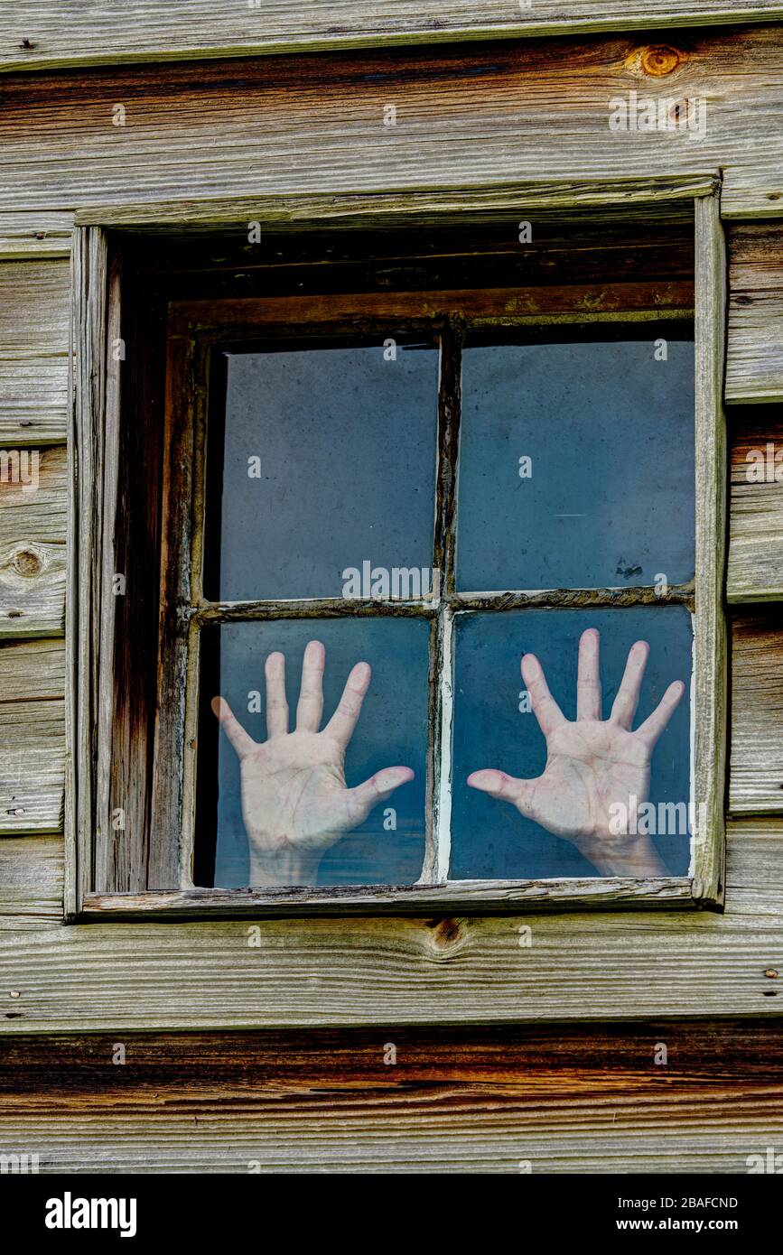 Colpo verticale di una finestra a quattro pannelli in un muro di legno con le mani di una donna premute contro due della panea come se cercassero di fuggire. Foto Stock