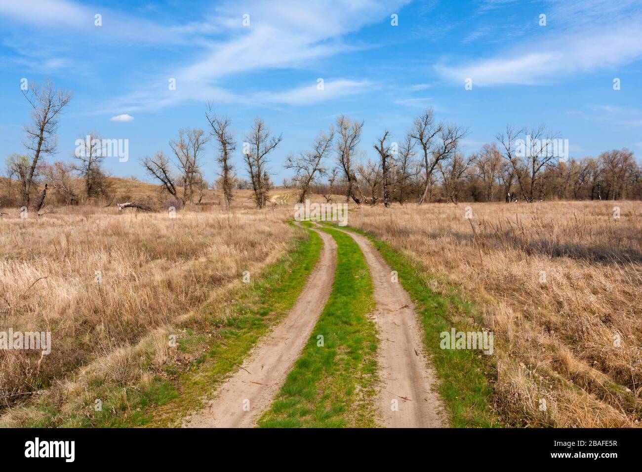 strada sterrata attraverso il gradino della molla Foto Stock