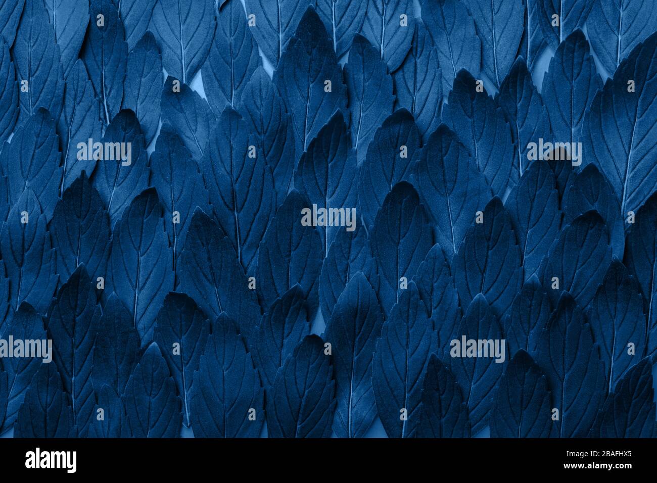Il verde di foglie di menta pattern design layout. Ecologia naturale concetto creativo. Vista la natura dello sfondo con erbe di menta verde. Foto Stock