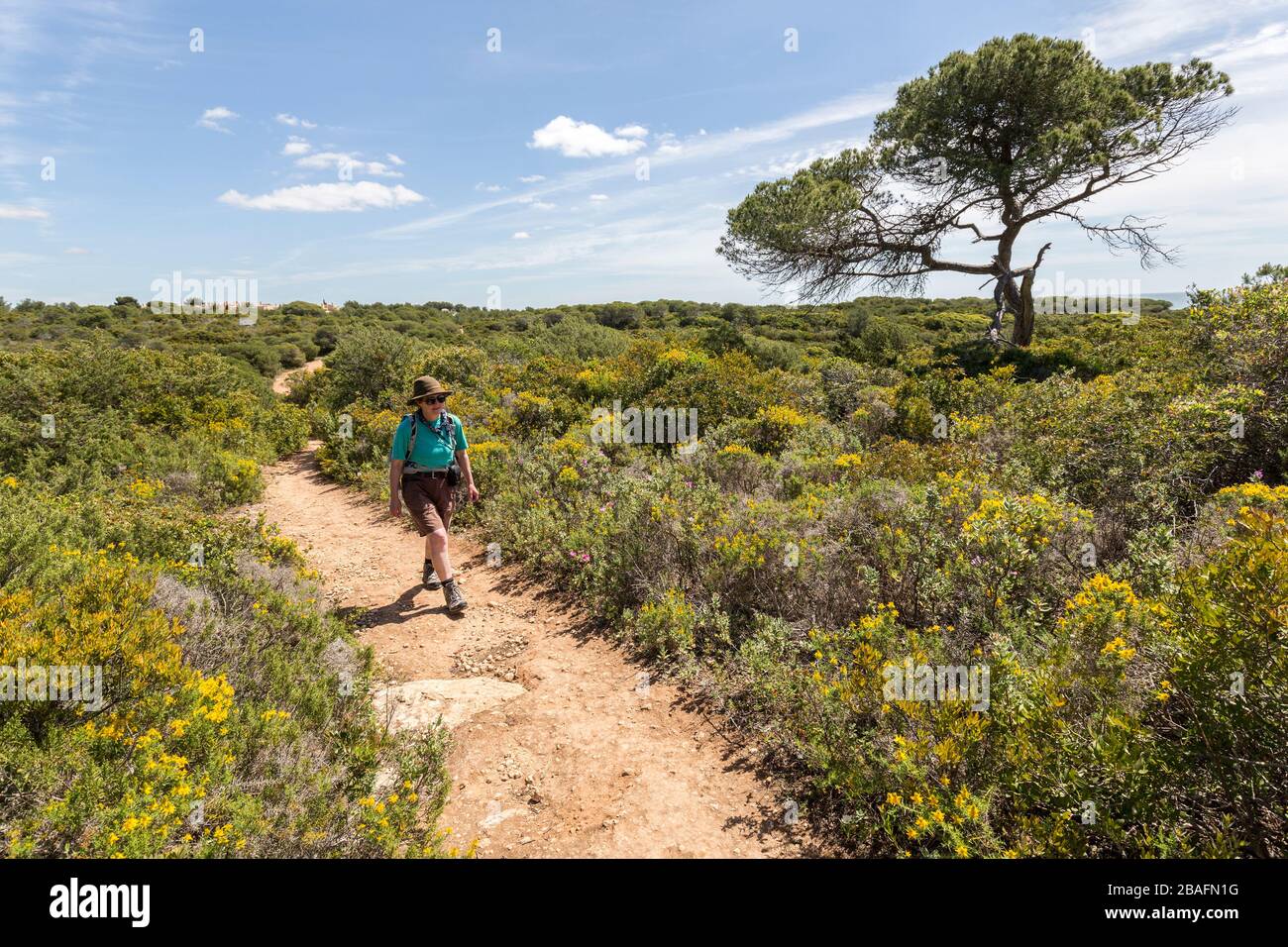 Donna escursionista a piedi il sentiero della costa ad ovest di Alporchinhas, Algarve, Portogallo Foto Stock