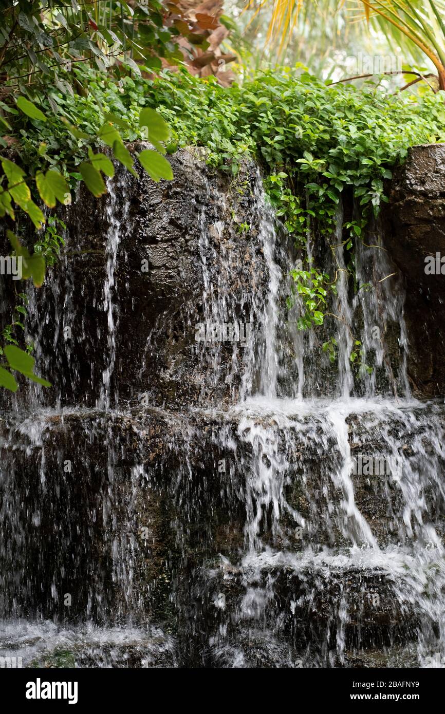 Piccola cascata in una brillante giornata estiva, acqua fresca che scorre attraverso i cespugli Foto Stock