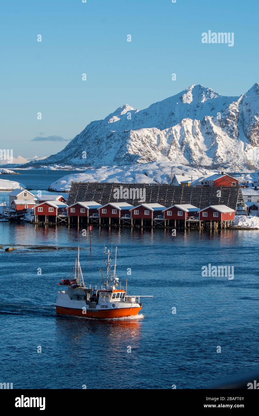 Una barca da pesca passa davanti ai cottage di pesca presso il Svinoeya Rorbuer (hotel) a Svolvaer, una città di pescatori nelle isole Lofoten, Nordlan Foto Stock