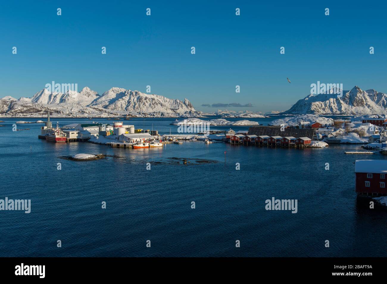 Vista di una delle fabbriche di lavorazione del pesce di Svolvaer, una città di pesca nelle Isole Lofoten, Nordland County, Norvegia. Foto Stock
