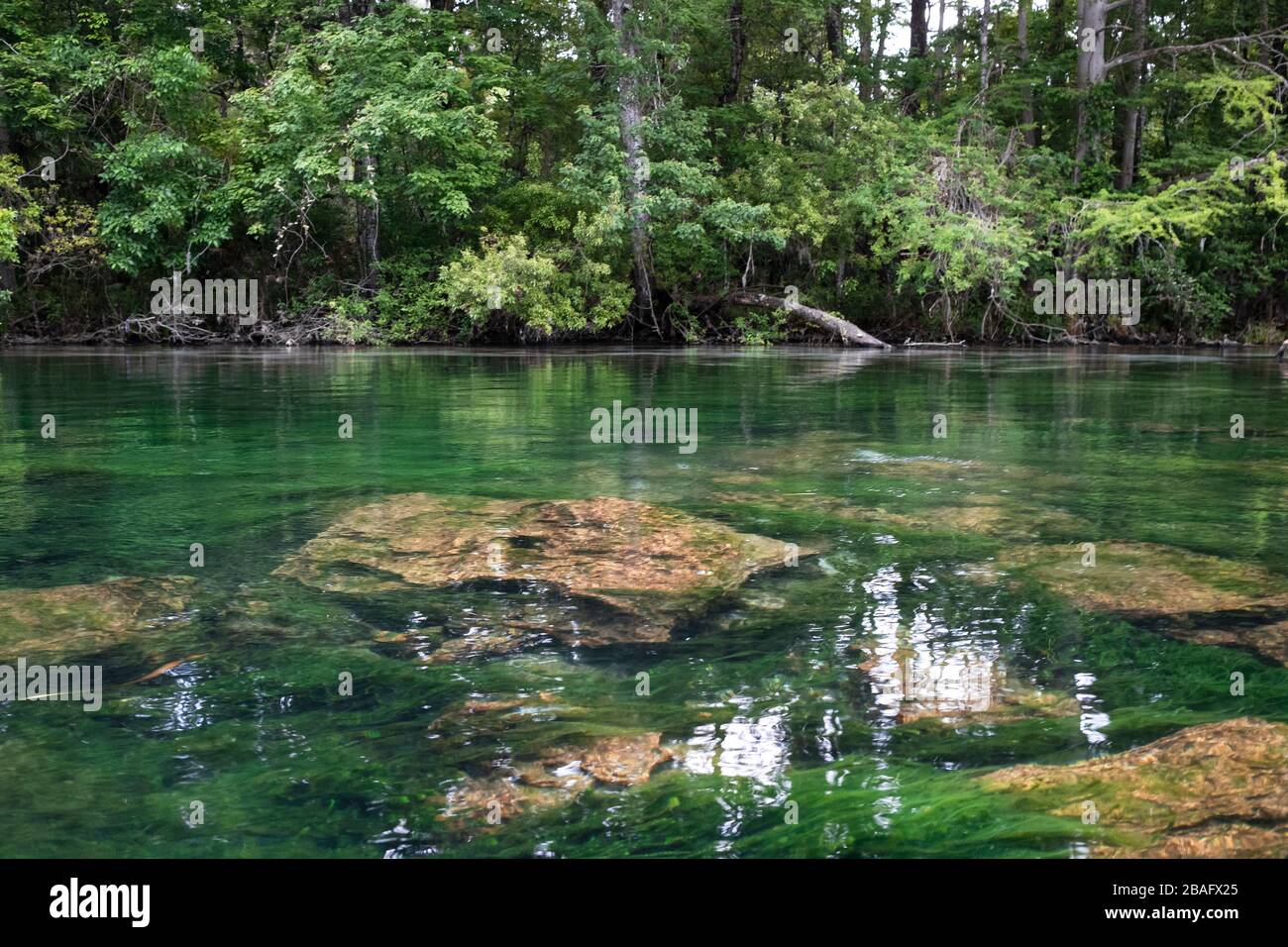 Grandi rocce nelle acque limpide della sorgente alimentò il fiume Rainbow a Dunnellon, Florida. Marion County, Florida Foto Stock