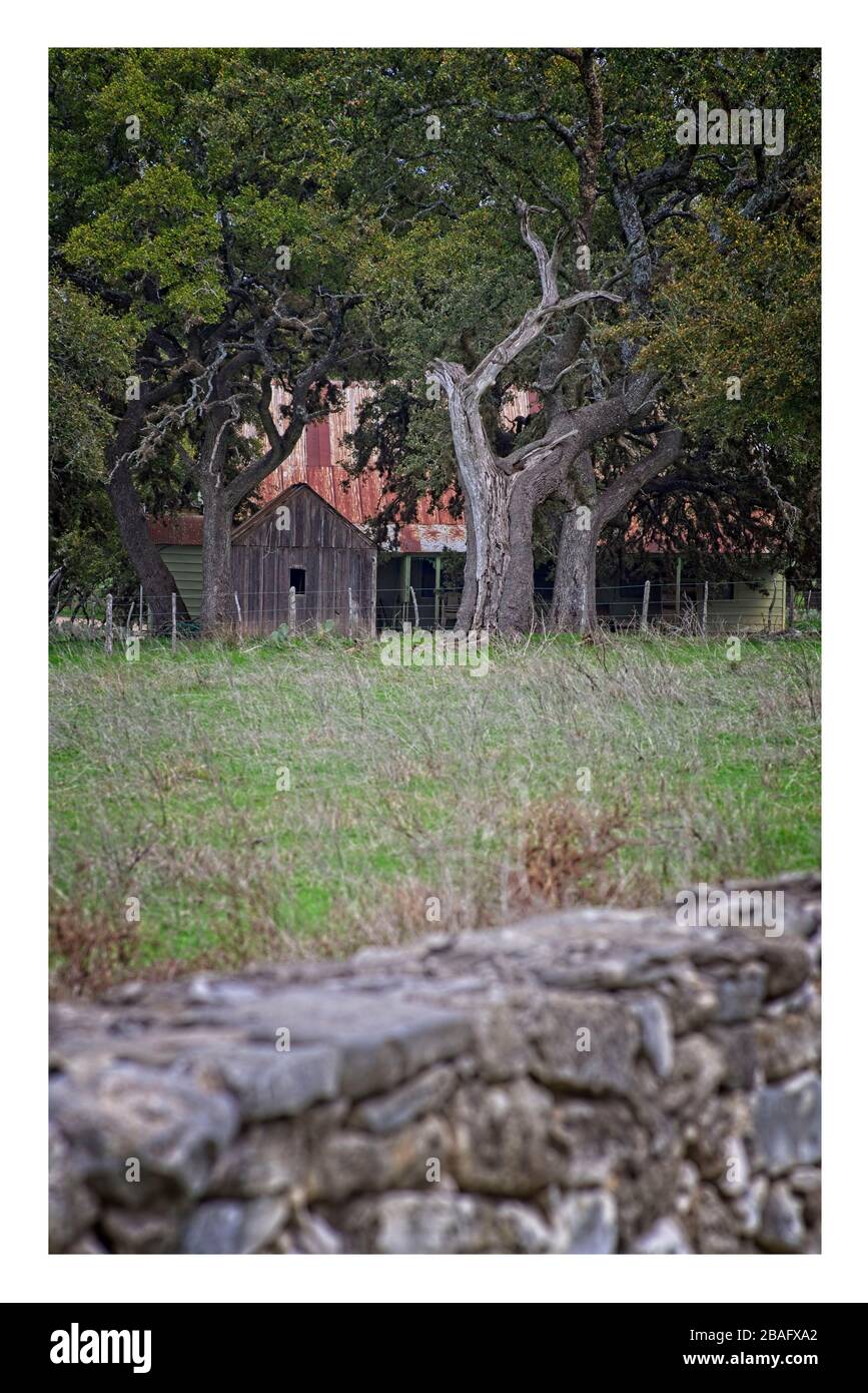 Texas Hill Country con recinzione in pietra, casa rustica in legno, tetto in metallo arrugginito Foto Stock