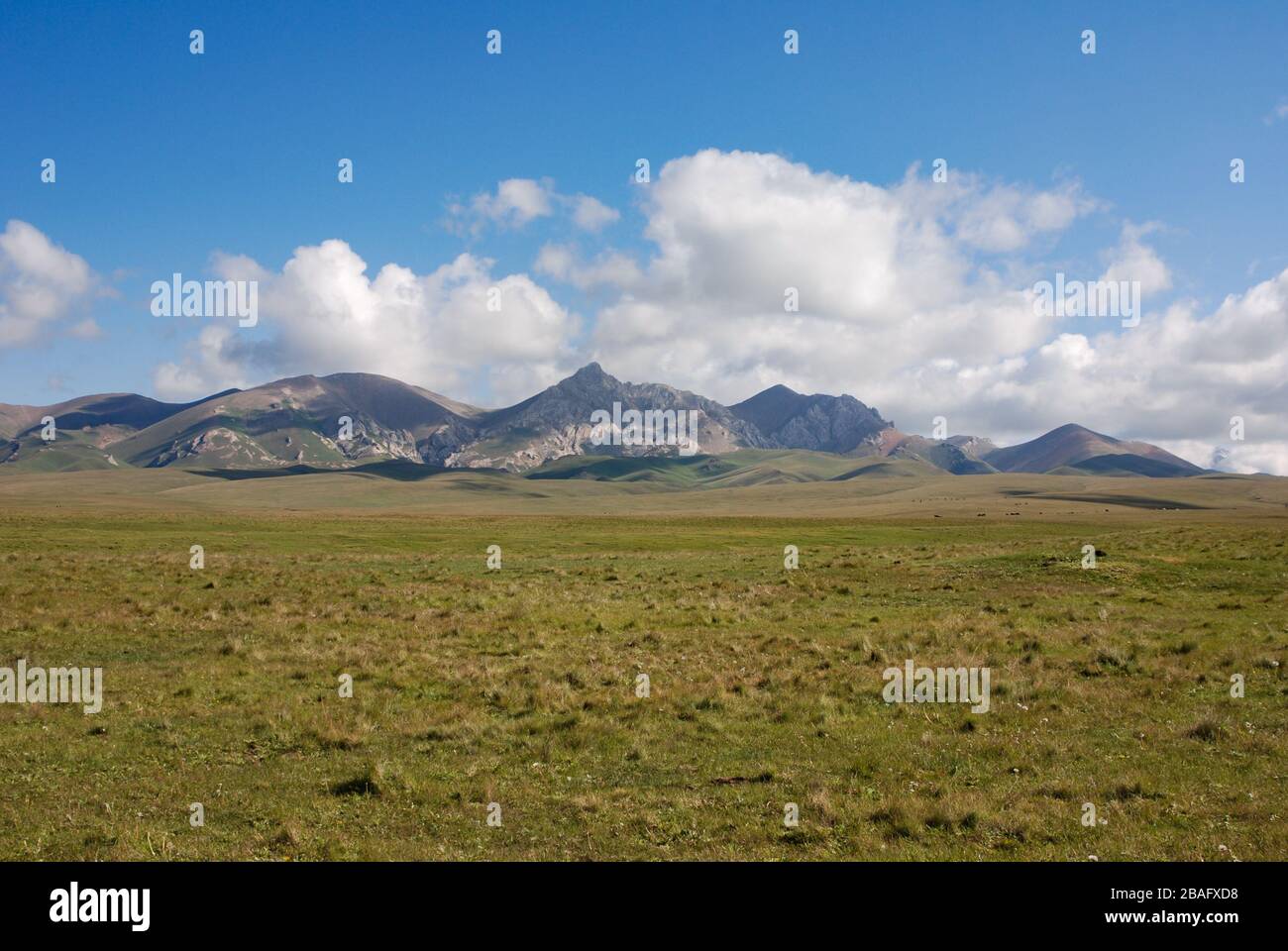 Vasta steppa kirghisa, vicino al lago Songkol. Montagne in background. Kirghizistan Foto Stock