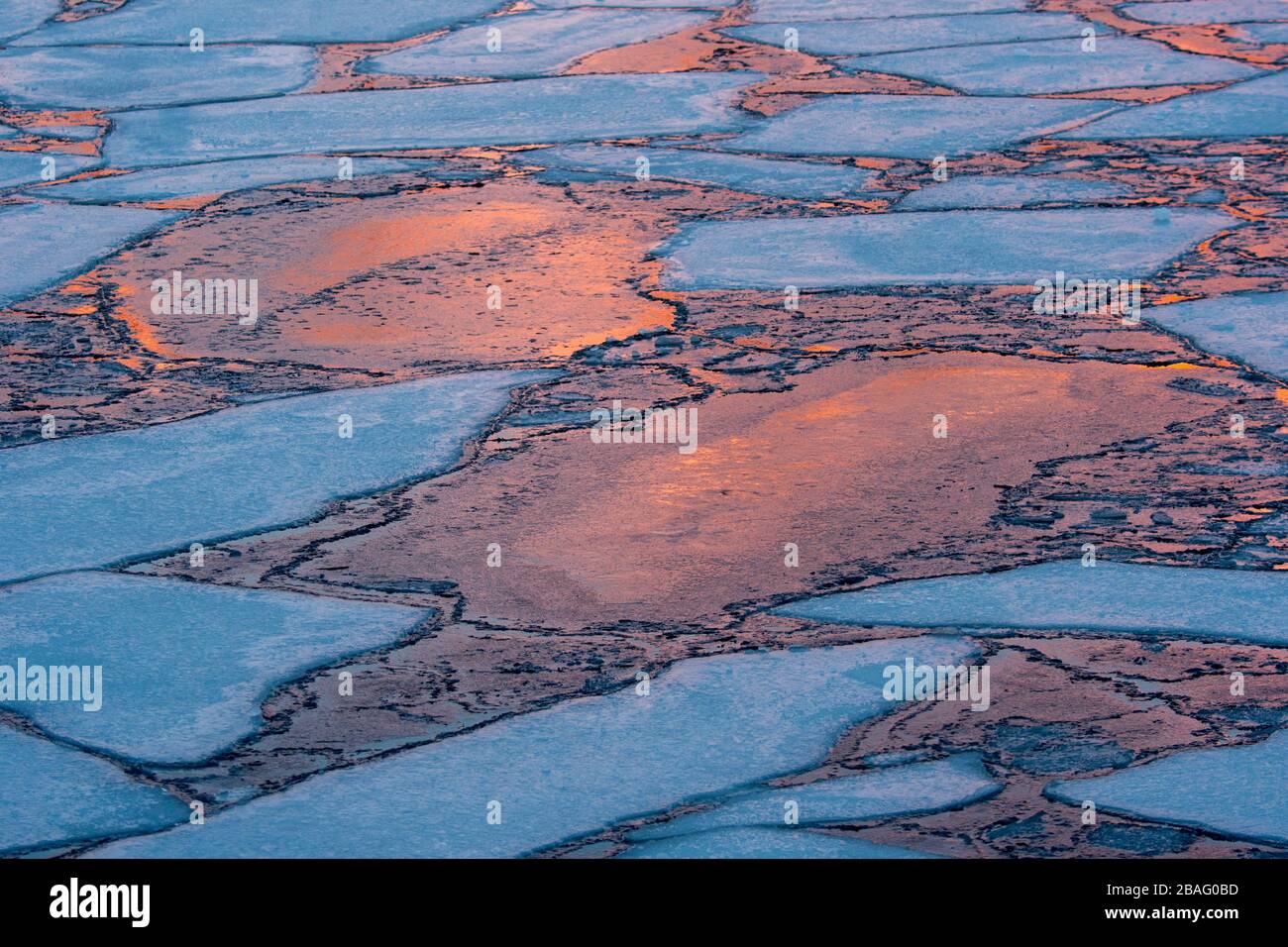 Dettaglio di piste di ghiaccio con luce rosa che si riflette dalle montagne innevate al tramonto a Sildpolnes Sjocamp vicino a Svolvaer sull'Isola di Austvag nello lo Foto Stock