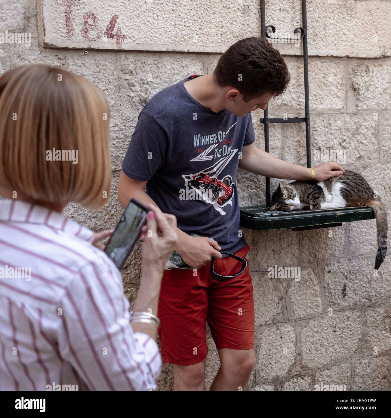 Montenegro, 17 settembre 2019: I turisti che posano e scattano foto con un gatto sonnellino nella città vecchia di Cattaro Foto Stock