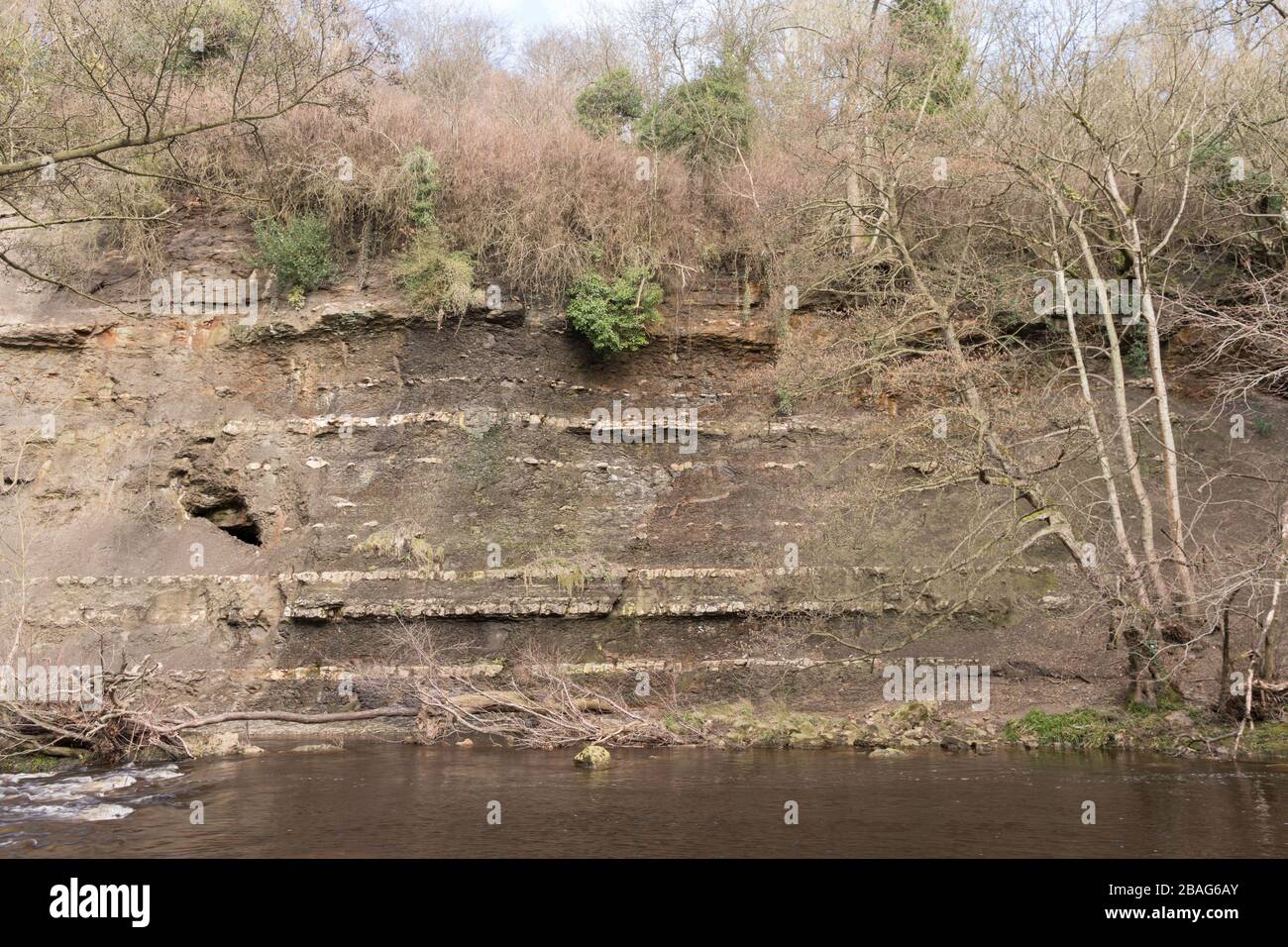 La riva erosa del fiume Munk Esk, mostrando strati geologici, a Grosmont, North Yorkshire, Inghilterra, Regno Unito Foto Stock