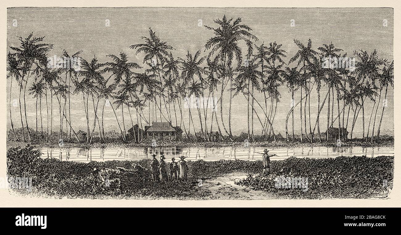 La residenza estiva del tardo re Kamehameha V a Waikiki. Hawaii, Stati Uniti. Gita alle Isole Hawaii 1855 di Charles de Varigny, in francese Foto Stock