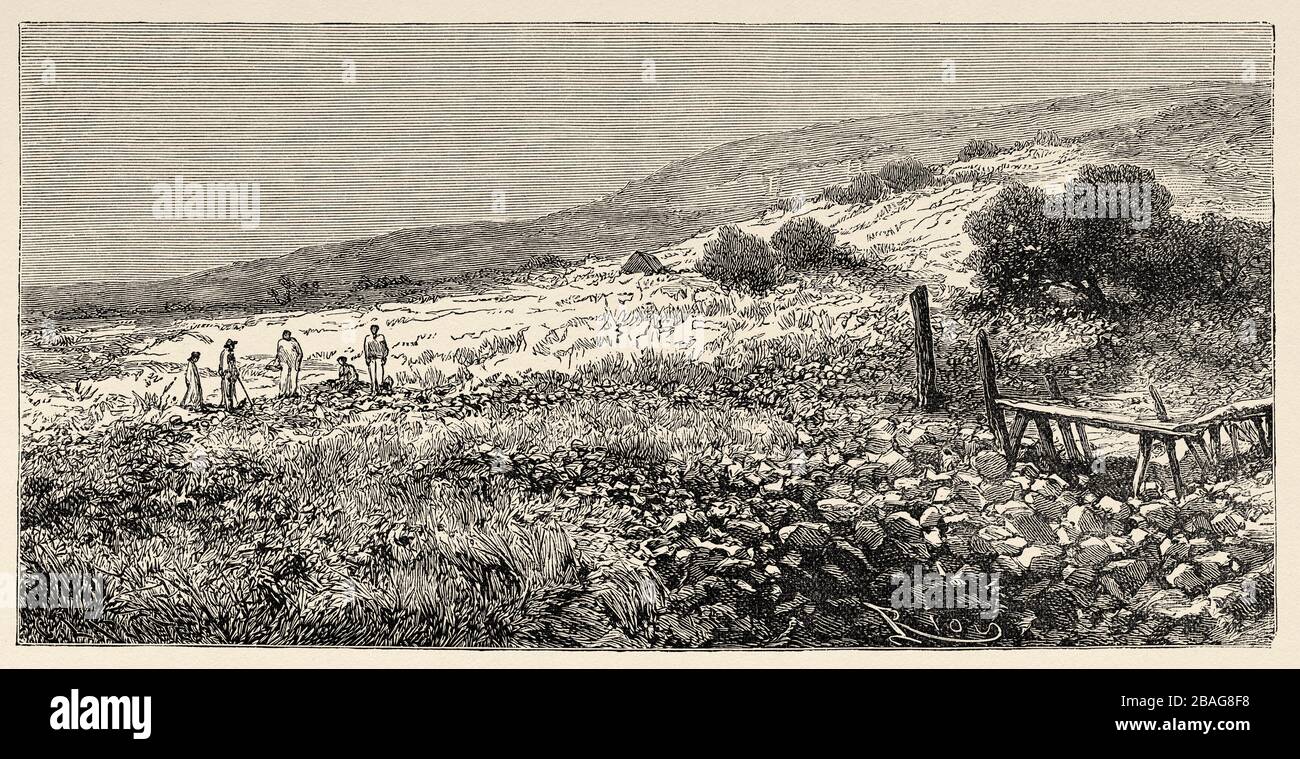 Vista panoramica delle rovine del villaggio di Waiohinu. Hawaii, Stati Uniti. Gita alle Isole Hawaiiane 1855 di Charles de Varigny, avventuriero francese Foto Stock