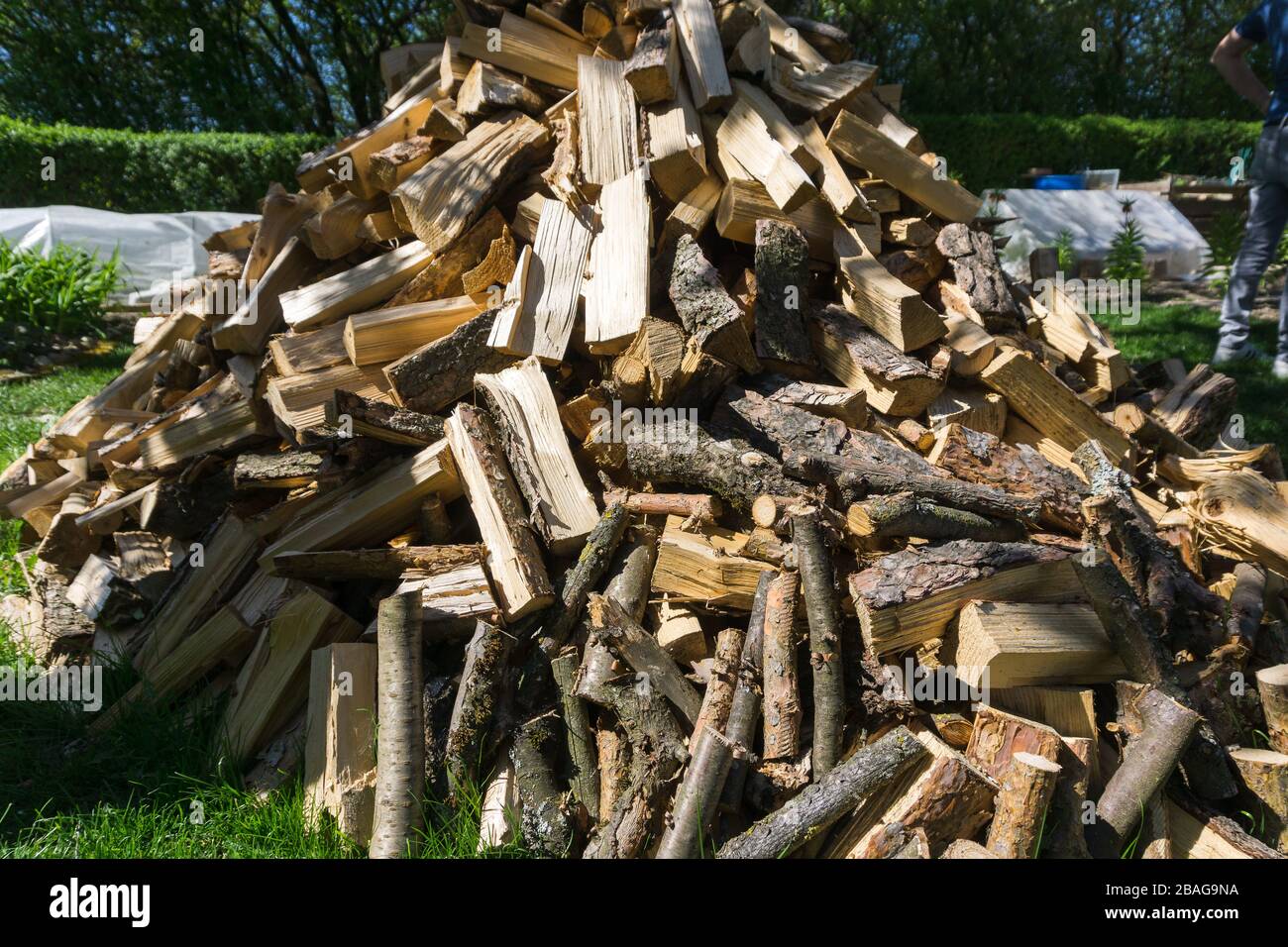 Tronchi e pali di legno in un giardino in bassa Baviera Foto Stock
