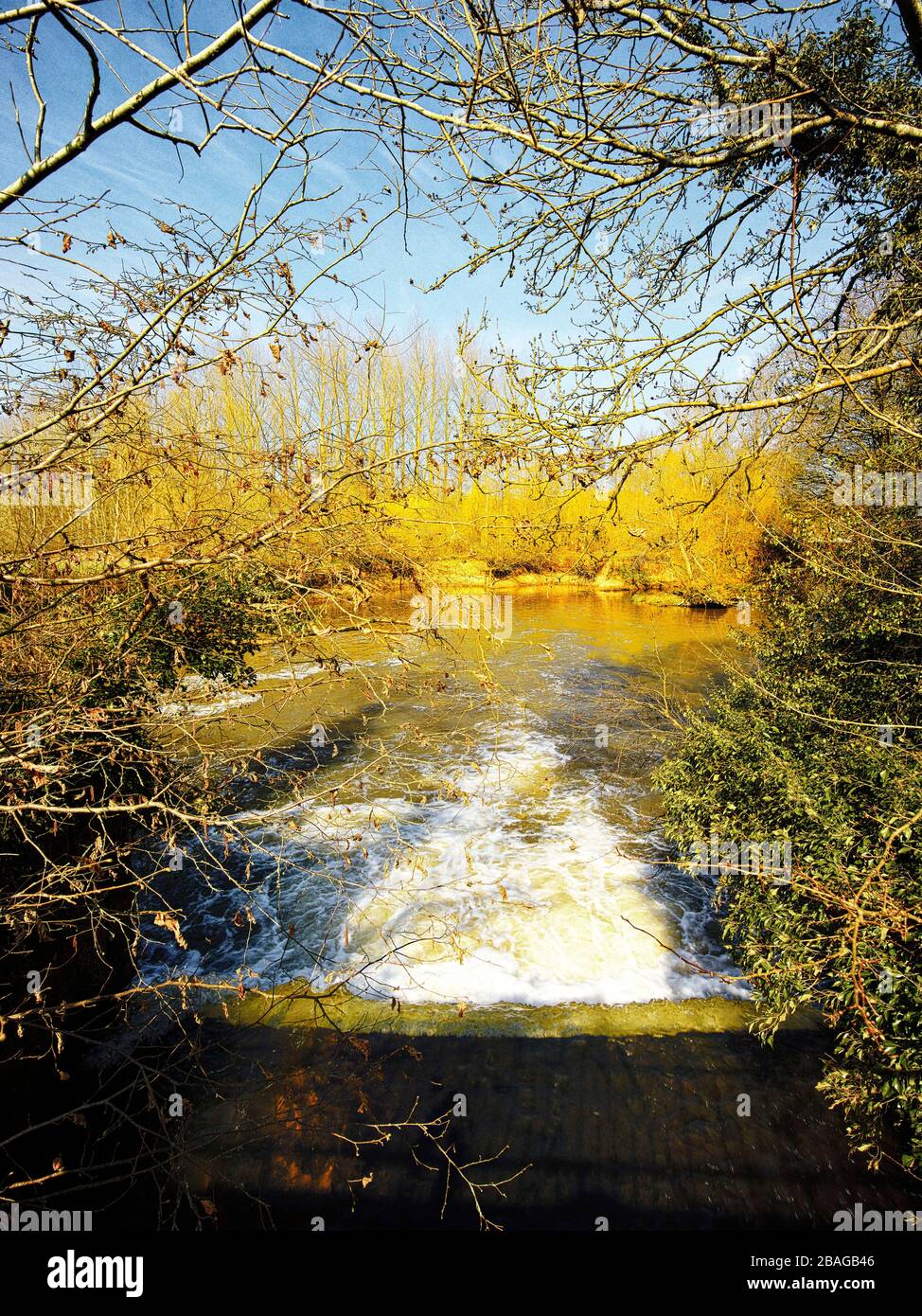 Campagna lungo il fiume Medway verso Tonbridge a Sussexon una giornata primaverile inglese, Regno Unito, Europa Foto Stock