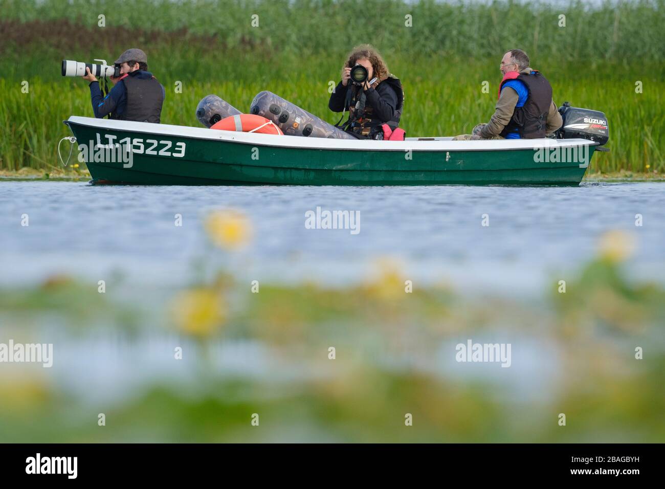 Due fotografi che fotografano uccelli da una barca. Nemunas Delta. Lituania. Foto Stock