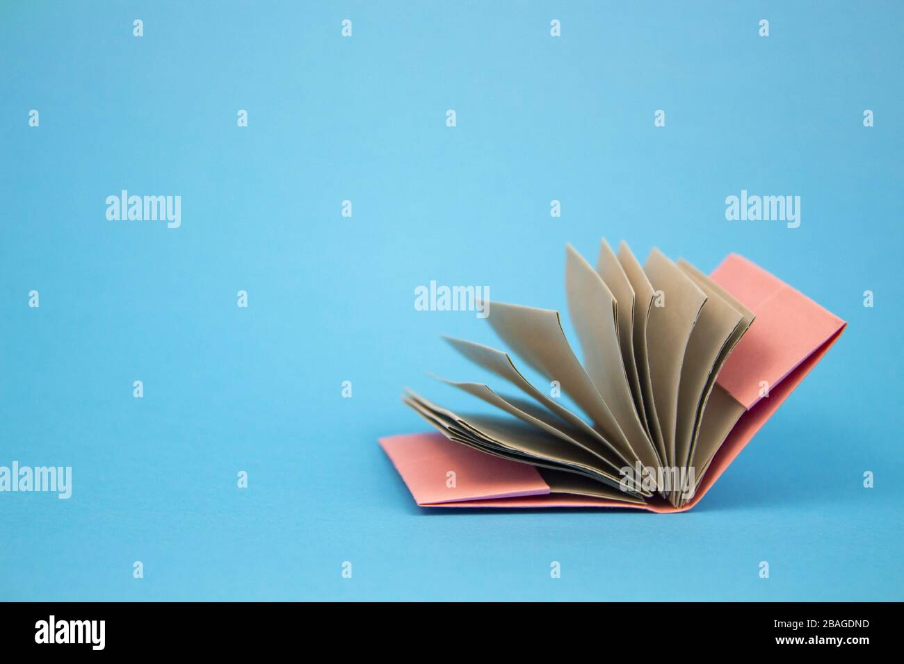 libri e libri di testo. libro su uno sfondo blu. distanza o istruzione domestica. Ritorno a scuola. Posto per testo Foto Stock