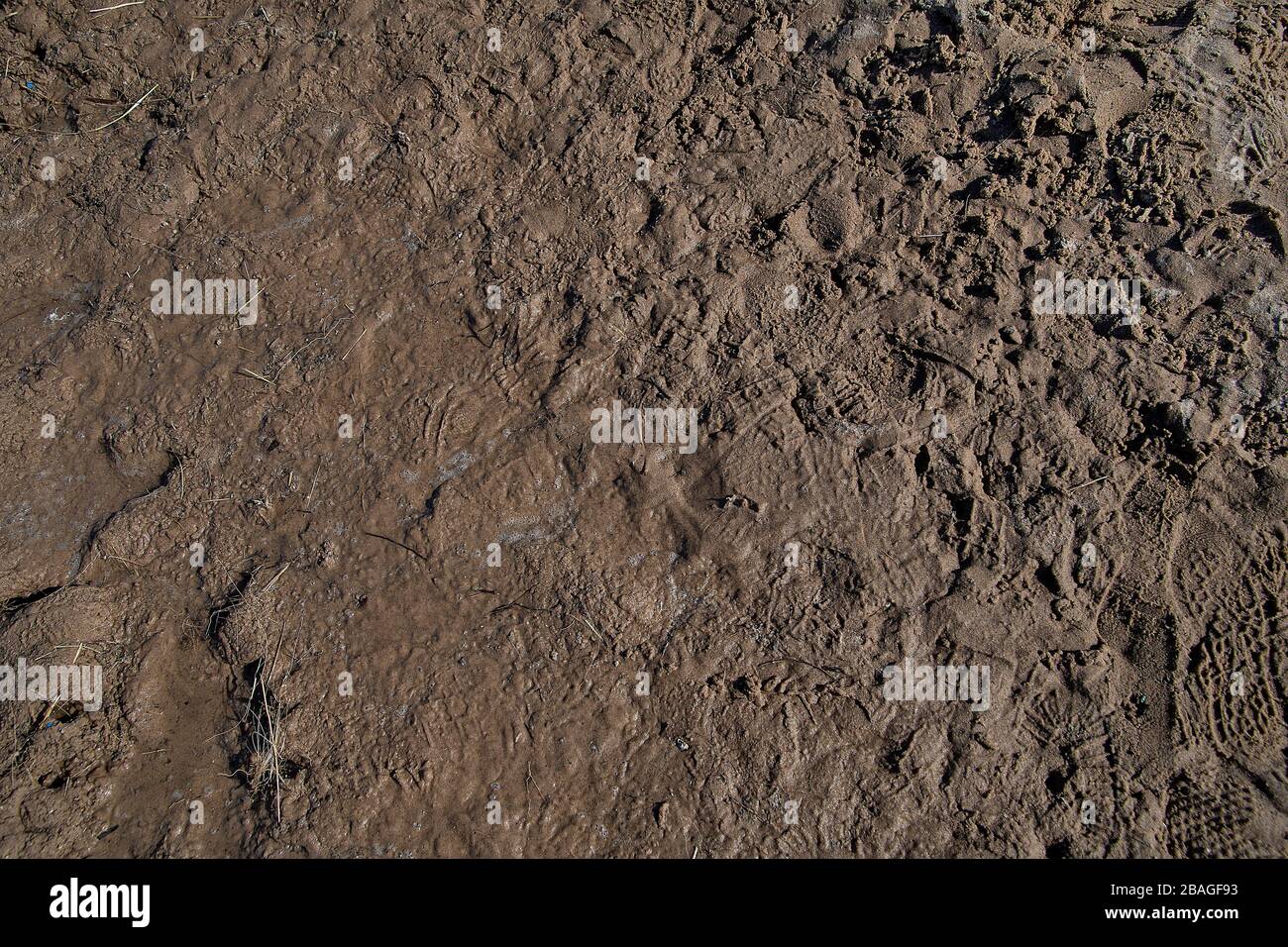 primo piano di fondo di fango umido marrone scuro Foto Stock