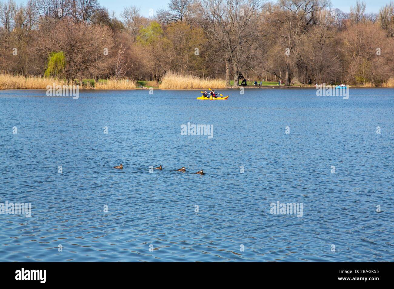 Persone in kayak nel lago di Prospect Park, New York City. Foto Stock