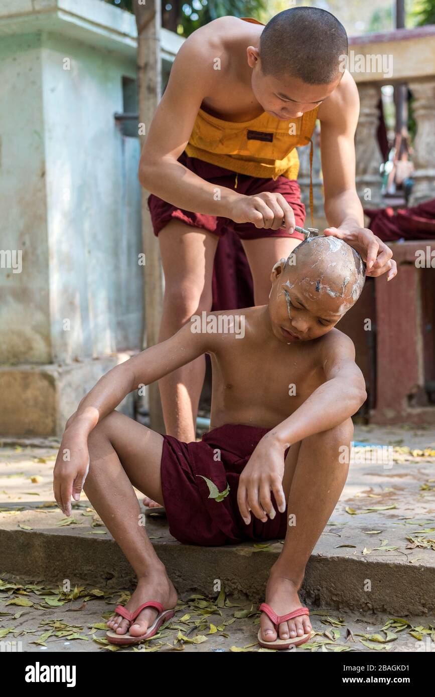 I monaci che rasano, Bagan, Myanmar Foto Stock