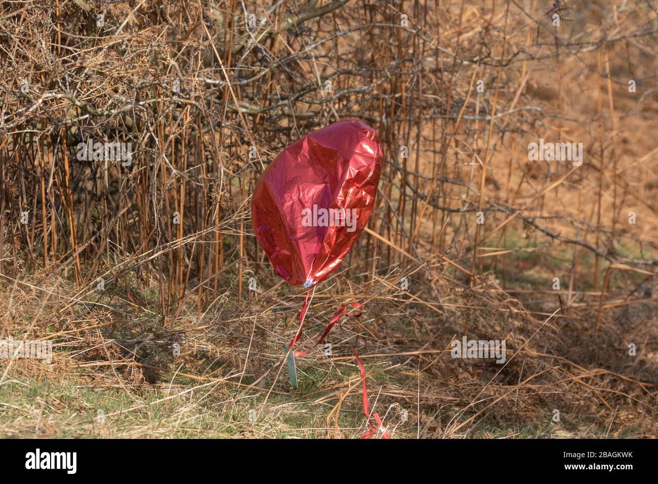 Un palloncino in lamina rossa inquina l'ambiente. Foto Stock