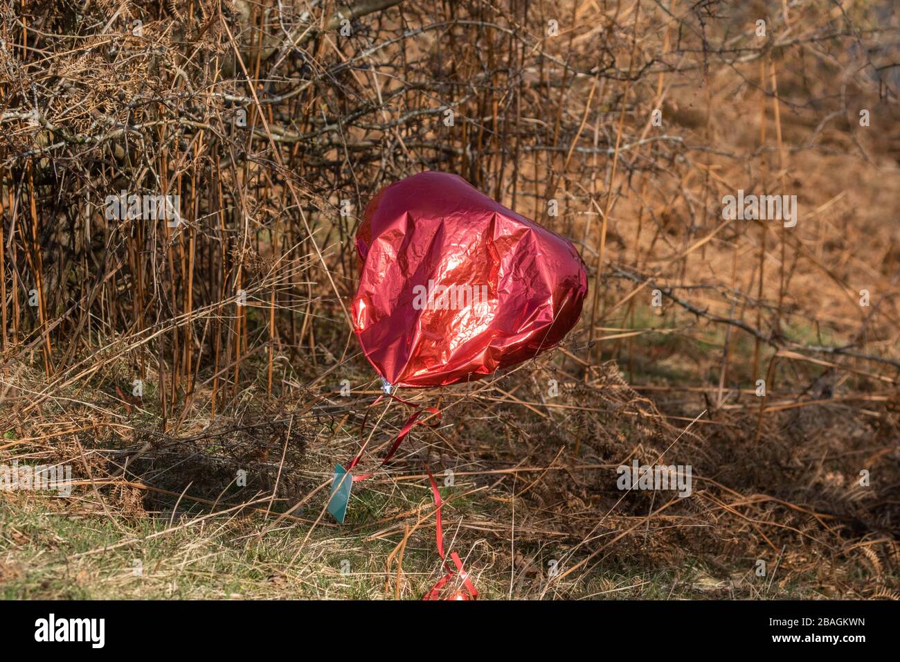 Un palloncino in lamina rossa inquina l'ambiente. Foto Stock